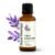 Plant Therapy Organic Lavender Essential Oil 30 mL, USDA Certified Organic | Pure & Undiluted Organic Lavender Oil, Ideal for Diffusion & Topical Use, Good For Skin, Hair, and Relaxation