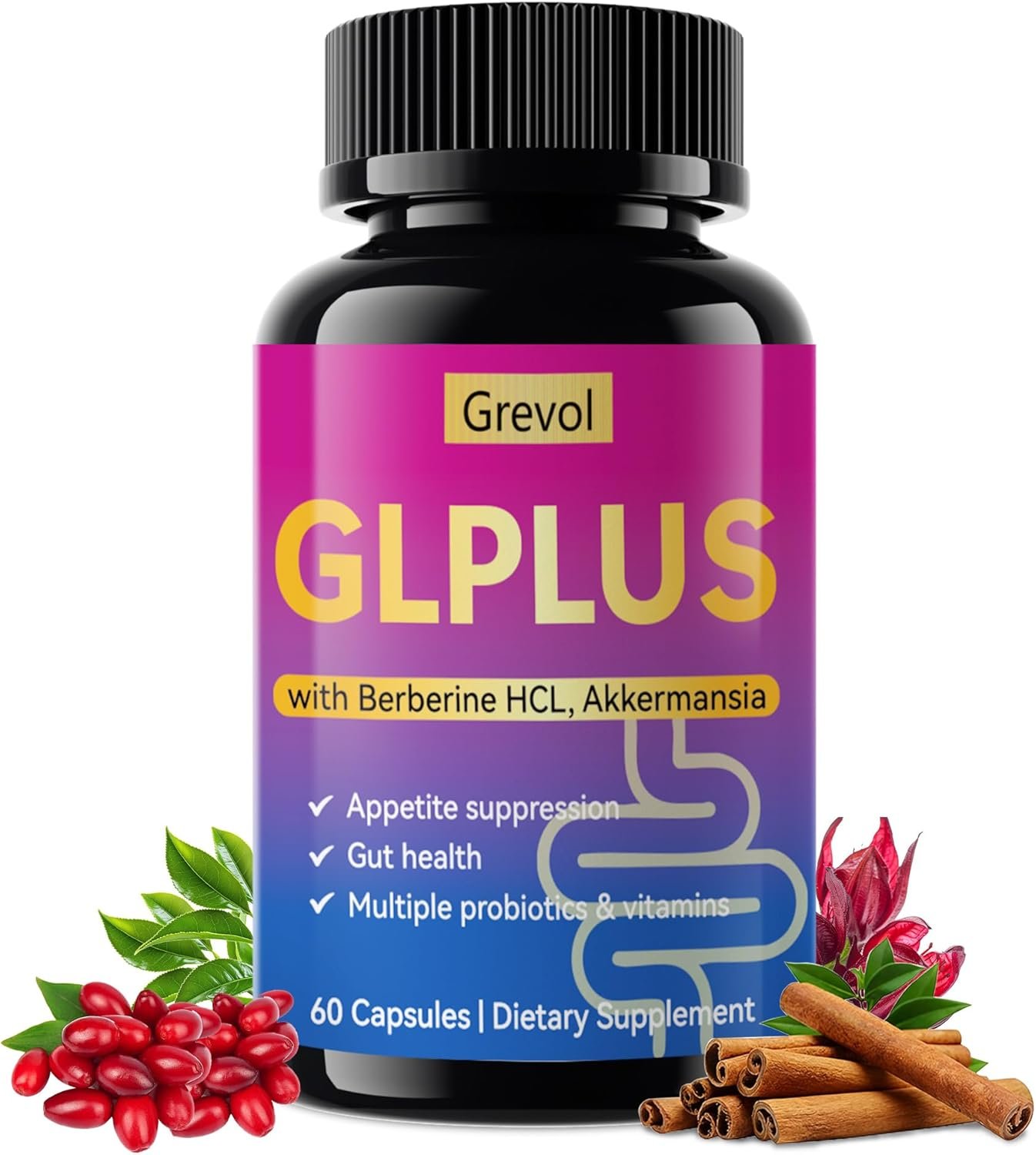 Grevol GLP1 Support Supplement for Women : Berberine Supplement with Ceylon Cinnamon & Akkermansia for Weight Management – Appetite Suppressant & Metabolism Support – 60 Capsules