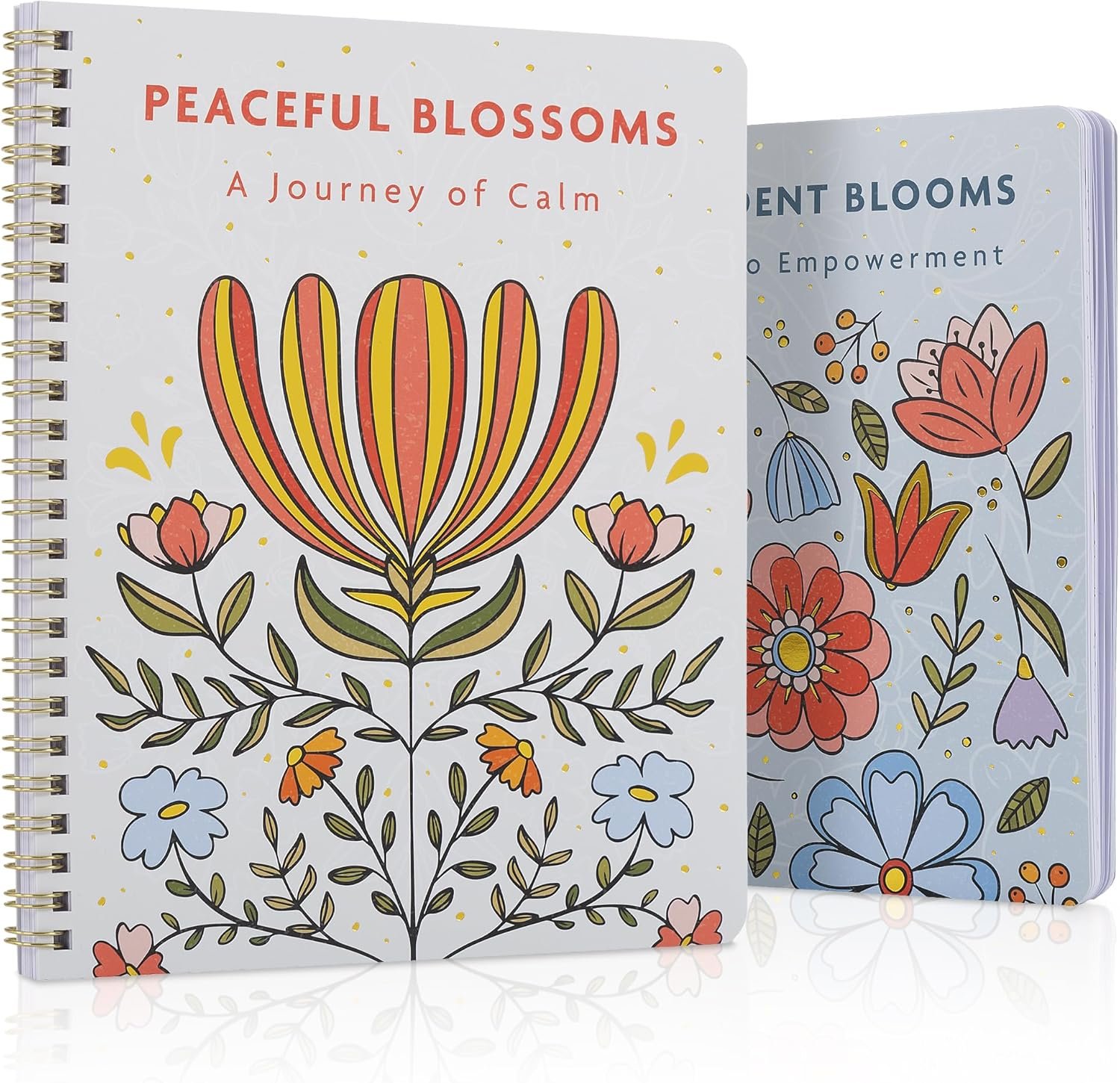 Beautiful Adult Coloring Book Set of 2 for Relaxation – Affirmation and Inspirational Books Making it a Great Gift – Perfect Stress-Relieving Books Fun to Color for Women