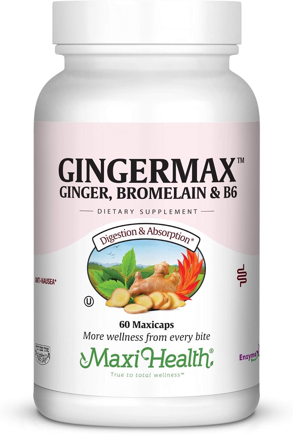 Maxi Health Gingermax – Ginger – Bromelain & Vitamin B6 – Digestion Health – 60 Capsules – Kosher (QGER)